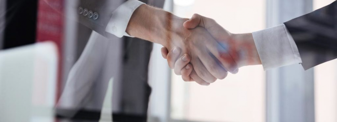 Does your company have a Shareholders Agreement?
